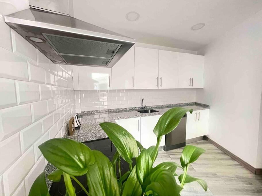 Precioso Piso En El Centro Apartment Málaga Exterior foto